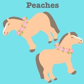 8”x8” Large Peaches the Pony cut and sew