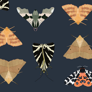 Moths Dark Navy - Large