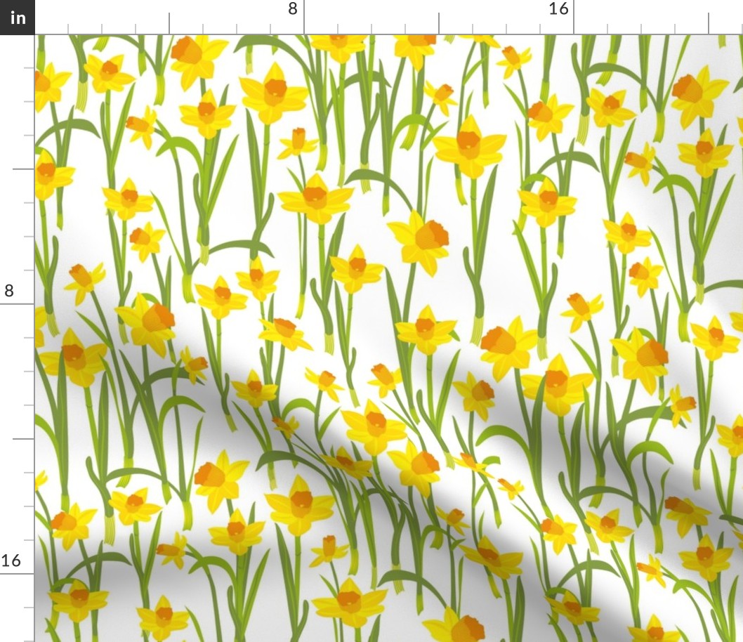 Sunny daffodils