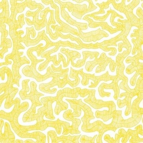 Brain Coral yellow 