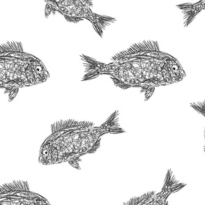 Inked fish huge and detailed