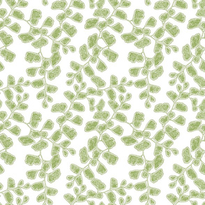 Mila's Maidenhair Fern - Moss Green on White