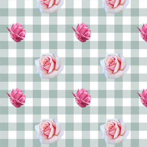 Pink roses on mint gingham