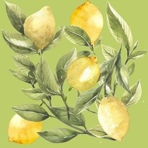 Traditional Watercolor of Lemons on Branch