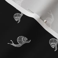 Polka Dot Snail black and white