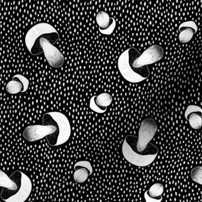 Porcini Mushrooms and Dots black and white