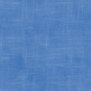 Blue Canvas Monochrome
