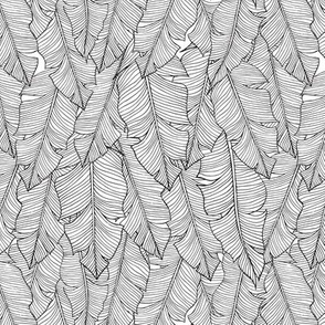 Banana Leaves Line Art Small - White and Black