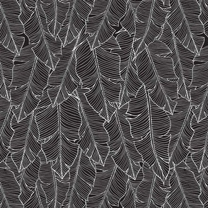 Banana Leaves Line Art Small - Black