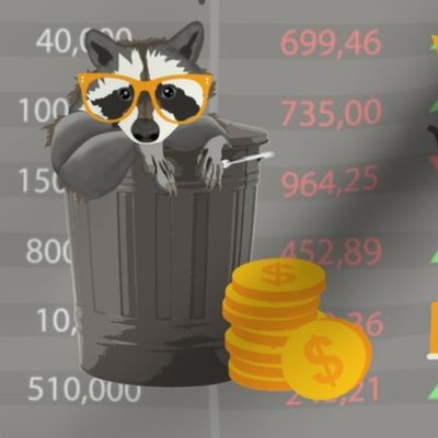 Stock market Trash Panda / day trader raccoon investing