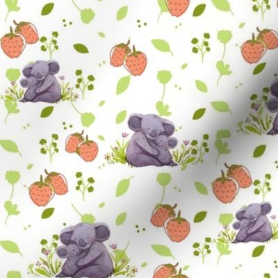 Koala  koalas and strawberries fields forever 