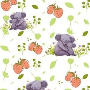 Koala  koalas and strawberries fields forever 