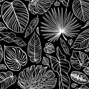 Botanical black and white