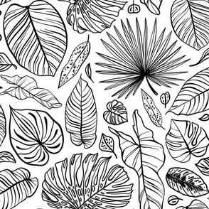 black and white tropical line drawing