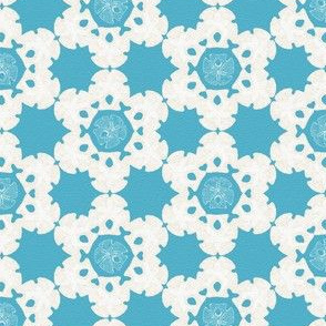 Beige Sanddollars on Turquoise background