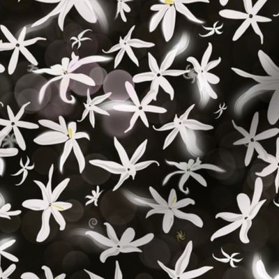 The stars are out of reach but these starry Jasmin are at our fingertips