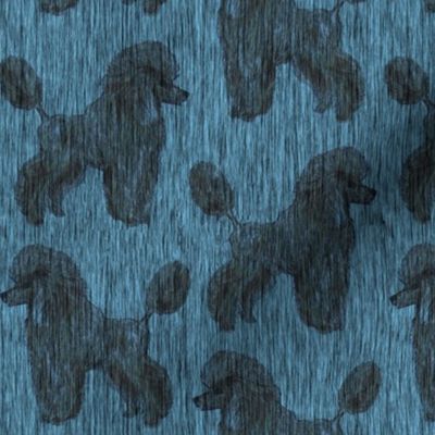 Custom Light Black Poodles in Blue Rain