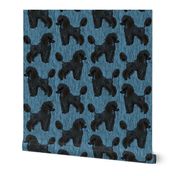 Custom Dark Black Poodles in Blue Rain