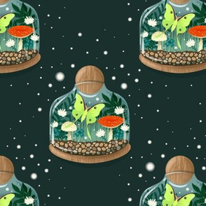 Night Terrariums