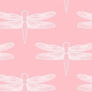 Small Dragonflies in Bubblegum Pink Dragonfly Damselflies Insects