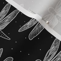 Small Black and White Dragonfly Dragonflies Detailed Delicate Wings