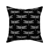 Small Black and White Dragonfly Dragonflies Detailed Delicate Wings