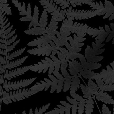 dark academia ferns on black background gray, black aesthetics wallpaper