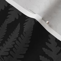 dark academia ferns on black background gray, black aesthetics wallpaper