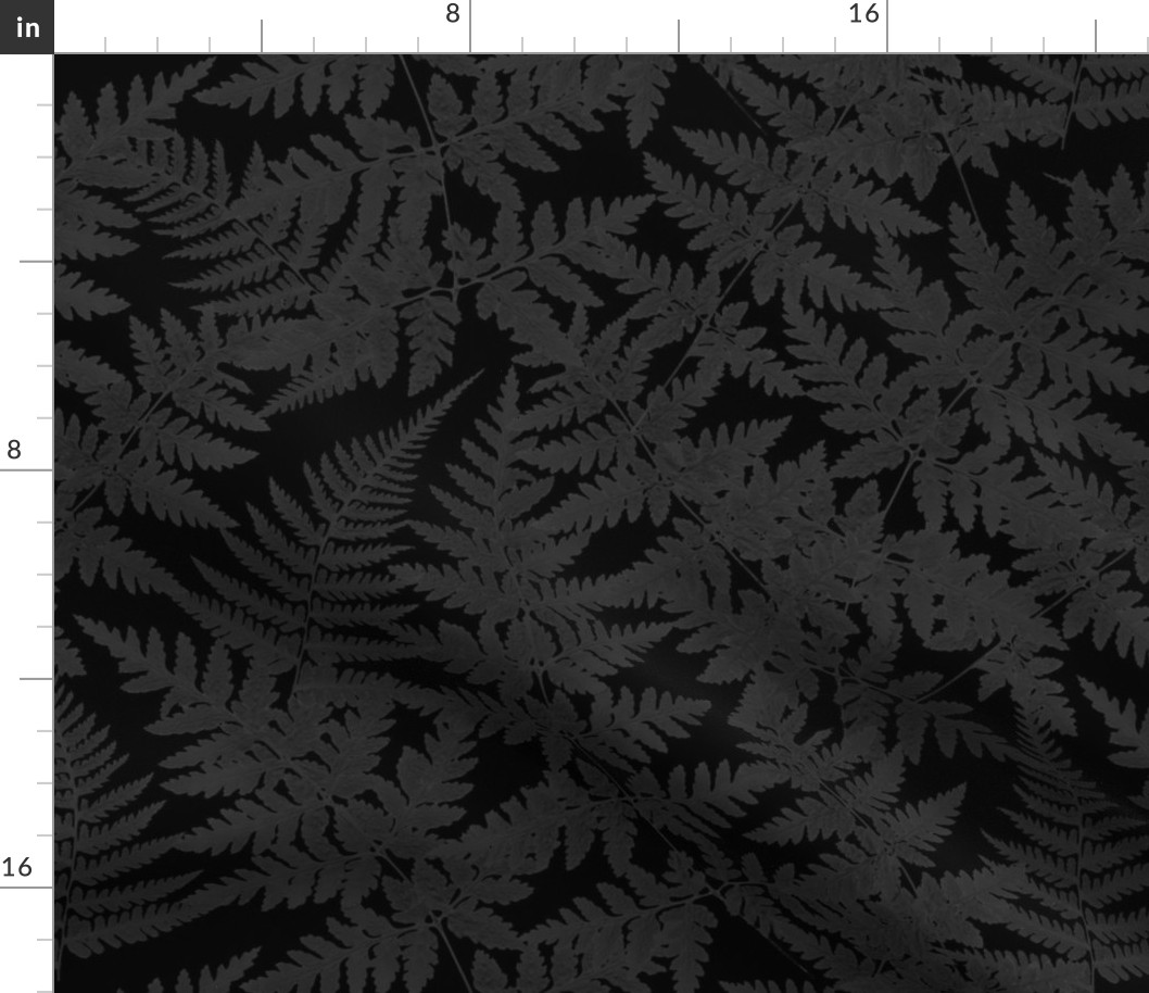 dark academia ferns on black background gray, black aesthetics wallpaper