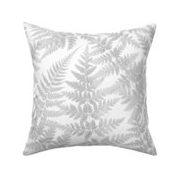 neutral soft gray fern on white background, shades of grey floral M