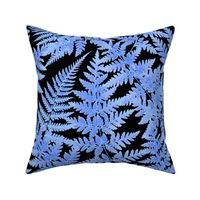 Soft Blue Fern on Black background