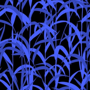 Wild Grasses in the night. Electric Blue canary grass M