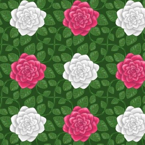 Everblooming Pink and White Roses on Green