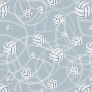 Volleyball on grey