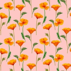 California Poppies on Coral Pink