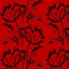 Victorian poppy flowers, black on scarlet