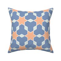 Anatolia Stars Peach Fuzz & Cornflower Blue Pantonecoty2024 