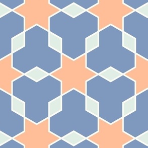 Anatolia Stars Peach Fuzz & Cornflower Blue Pantonecoty2024 