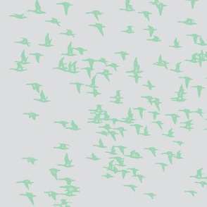 flock_birds