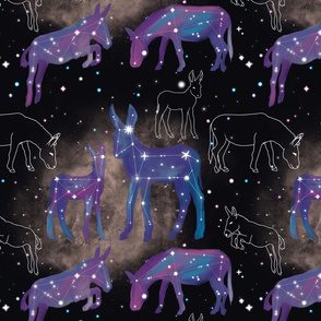 Donkey Constellations