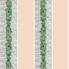 IVY STONE STRIPE - GARDEN WALL COLLECTION (PEACH)