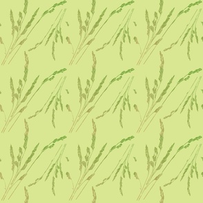 Grasses in soft colors