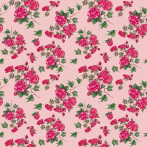 Wild Roses - Blush Pink