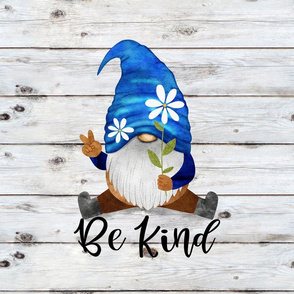 Be Kind Blue Daisy Gnome 18 inch square