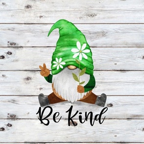 Be Kind Green Daisy Gnome 18 inch square