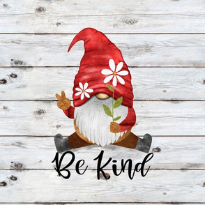 Be Kind Red Daisy Gnome 18 inch square