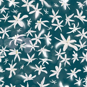 The stars are out of reach but these starry Jasmin are at our fingertips