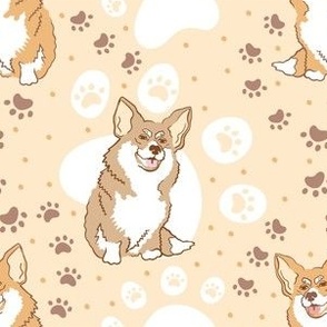 Cute corgi  