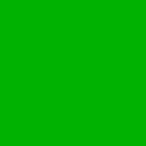 Color Map v2.1 FF5 #42AE2D - Lime Zest