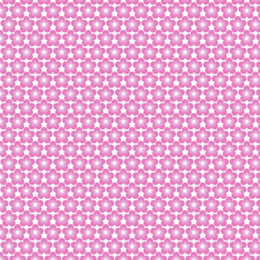 Pink Sakura Pattern Coordinate